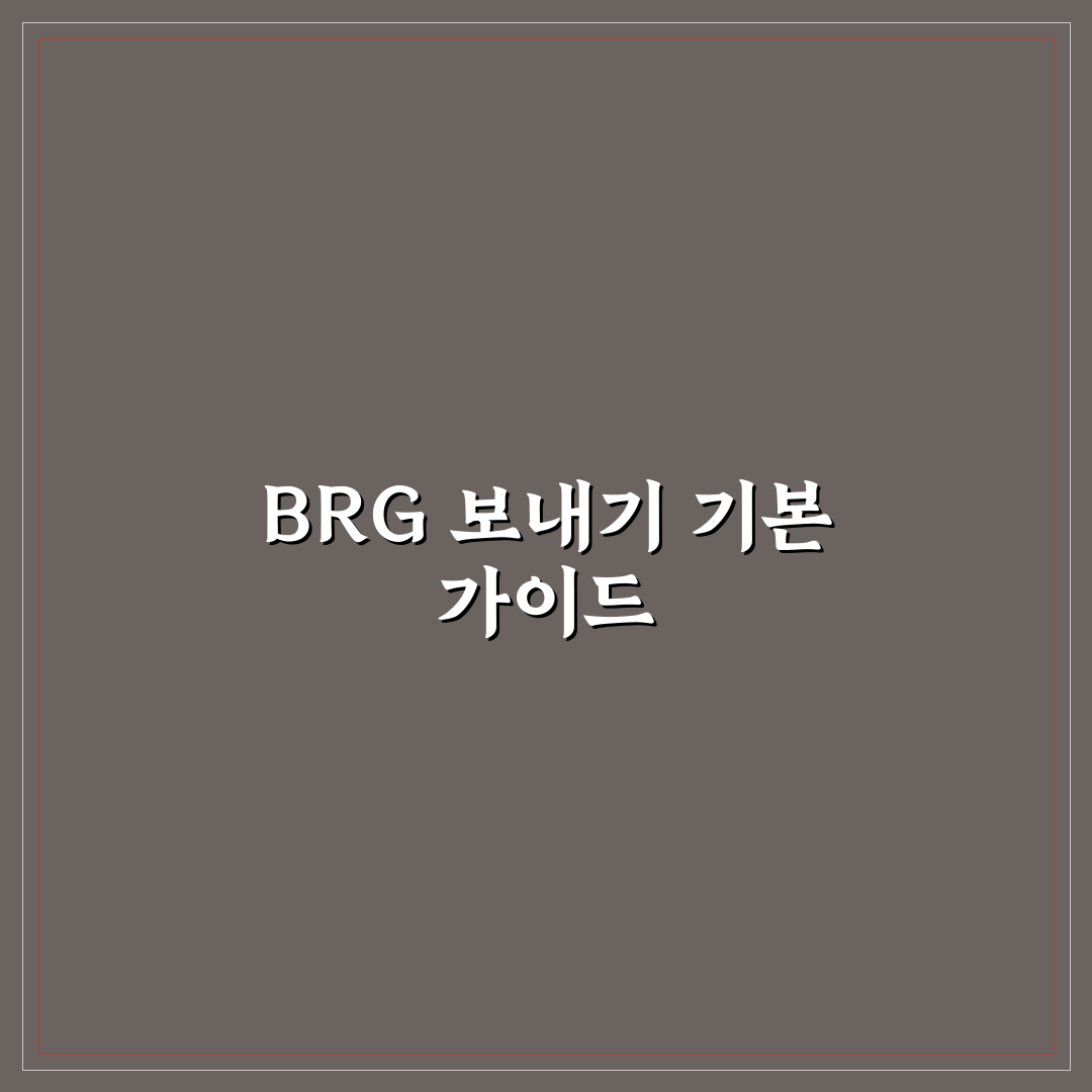 포켓몬카드 brg 보내는 법 5가지 기준 분석과 체크포인트