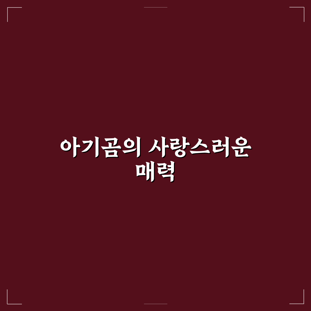 베어트리파크 아기곰 만나기 꿀팁과 방문 후기