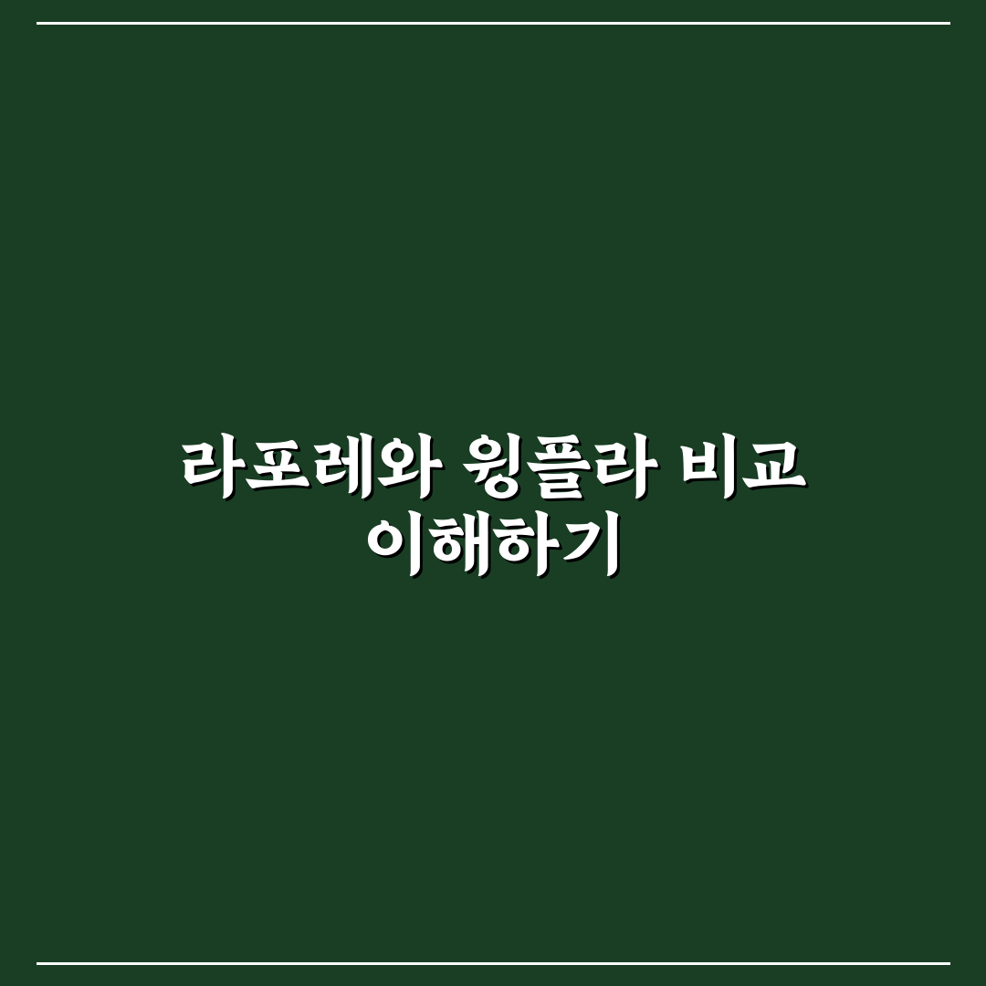 라포레 윙플라 비교 꿀팁과 선택 포인트 정리