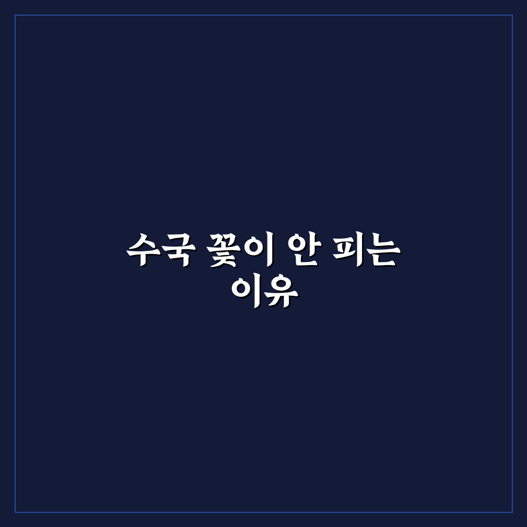 수국 꽃이 안 펴요 해결을 위한 추천 꿀팁 정리