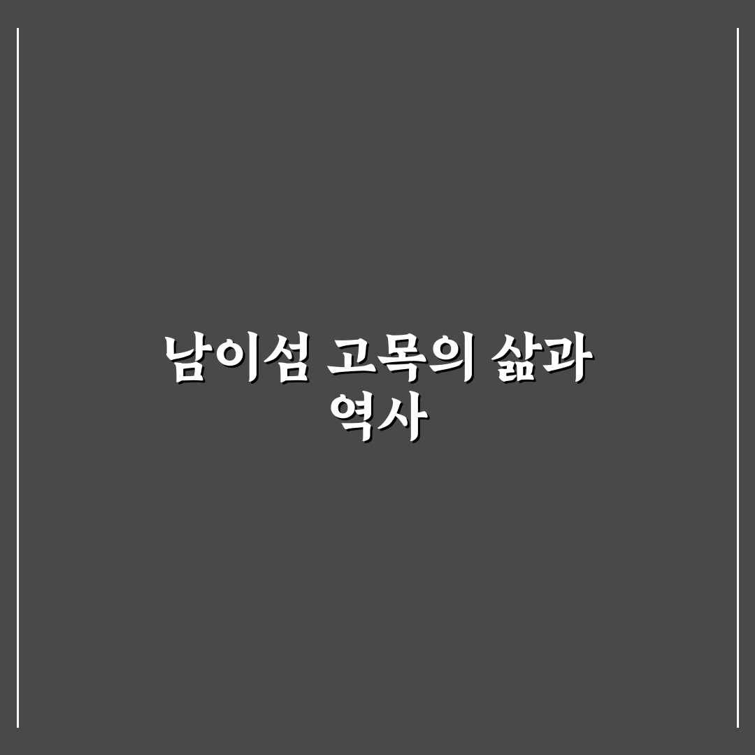 남이섬 고목 방문 꿀팁과 경치 감상 방법 안내