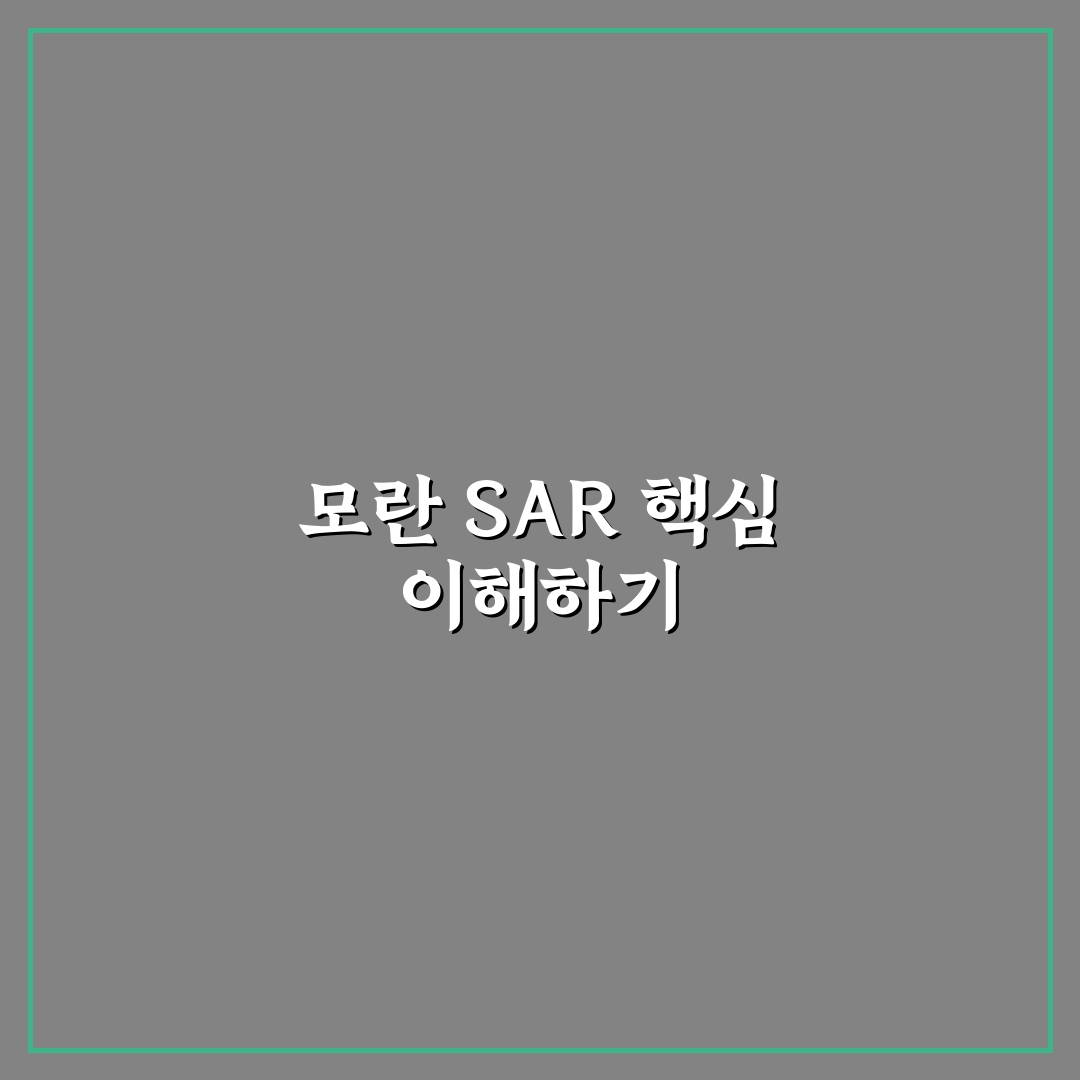 모란 sar 활용법과 초보자를 위한 꿀팁 정리