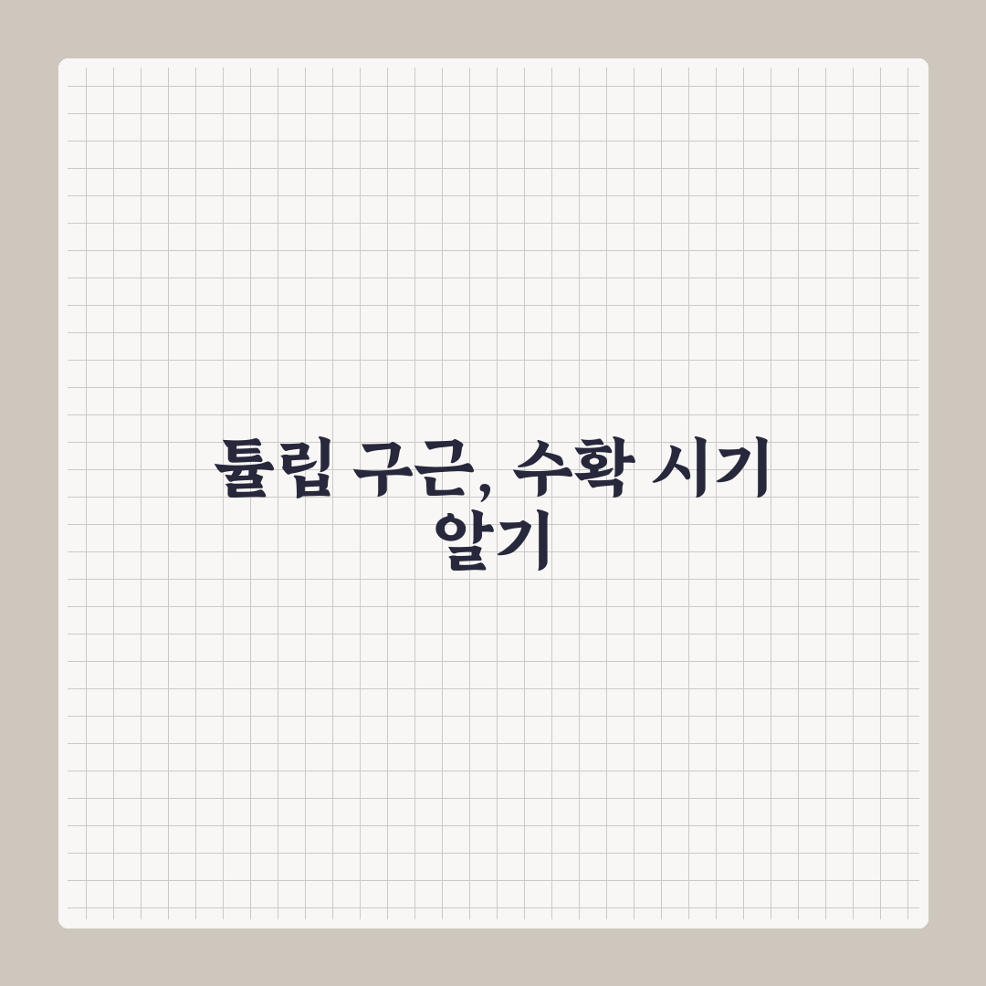 튤립 구근 캐는 시기와 방법 꿀팁 쉽게 알려드려요