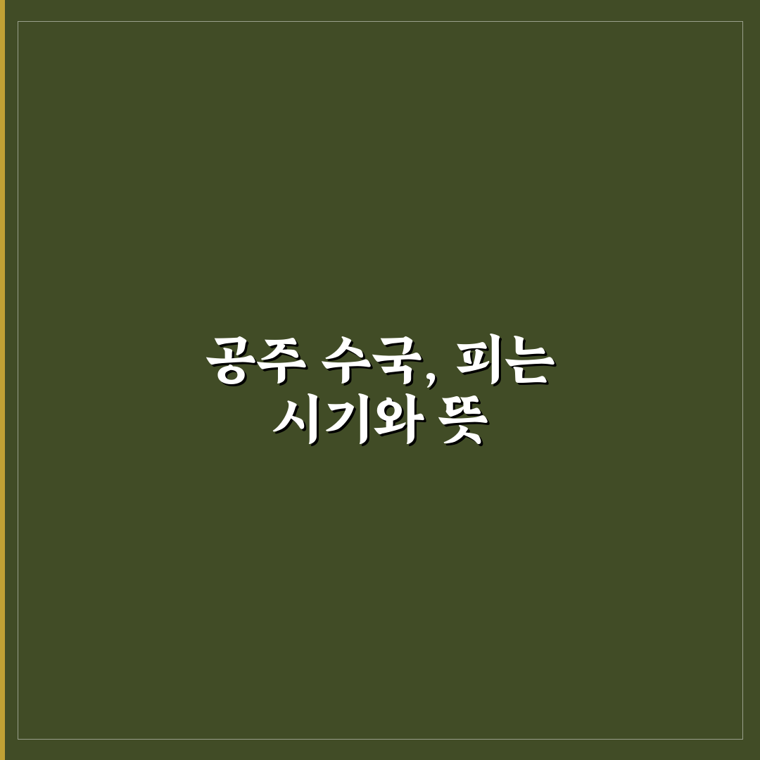 공주 수국 개화시기와 최적 관리법 알려드려요
