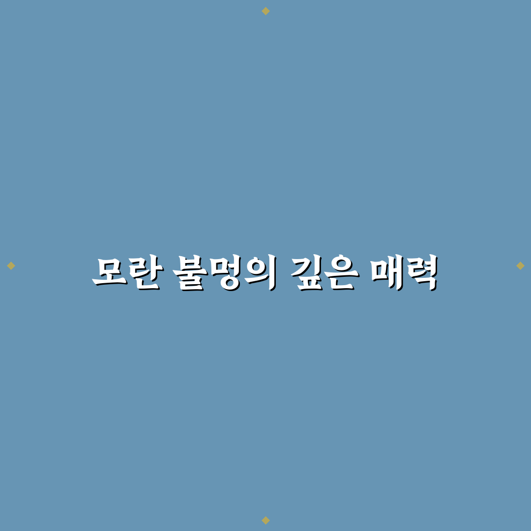 모란 불멍 꿀팁 초보자도 쉽게 즐기는 방법 공유