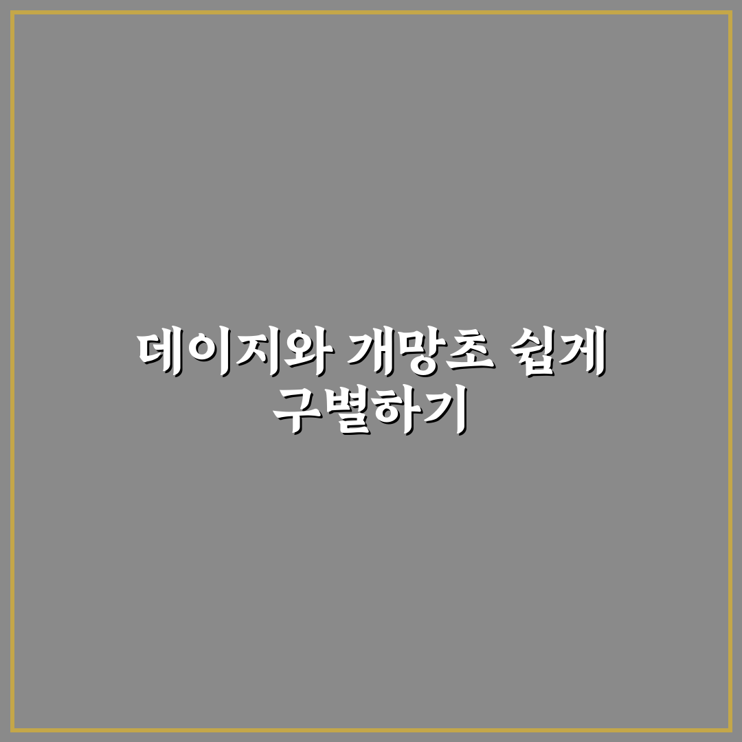 데이지 개망초 차이 쉽게 이해하는 비교 꿀팁