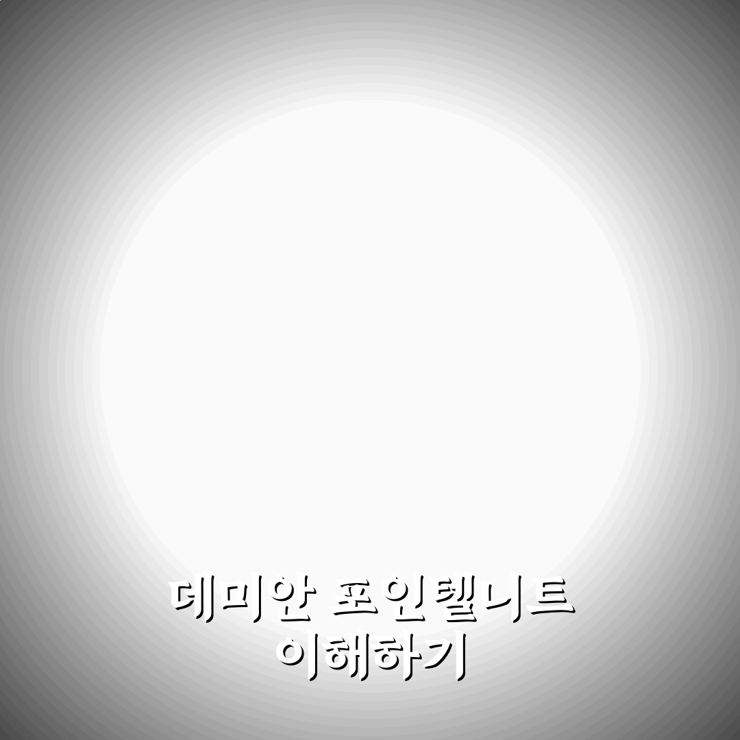 데미안 포인텔니트 착용법과 관리 꿀팁 정리