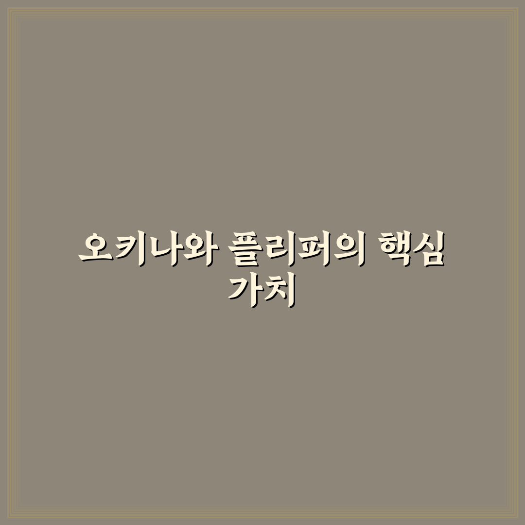 오키나와 플리퍼 이용 꿀팁과 체험 후기 정리