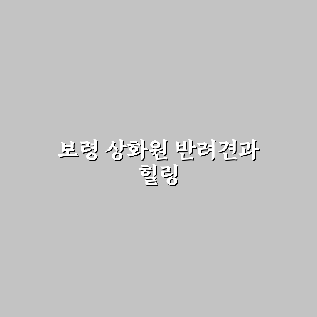 보령 상화원 애견동반 꿀팁과 방문 전 알아둘 점