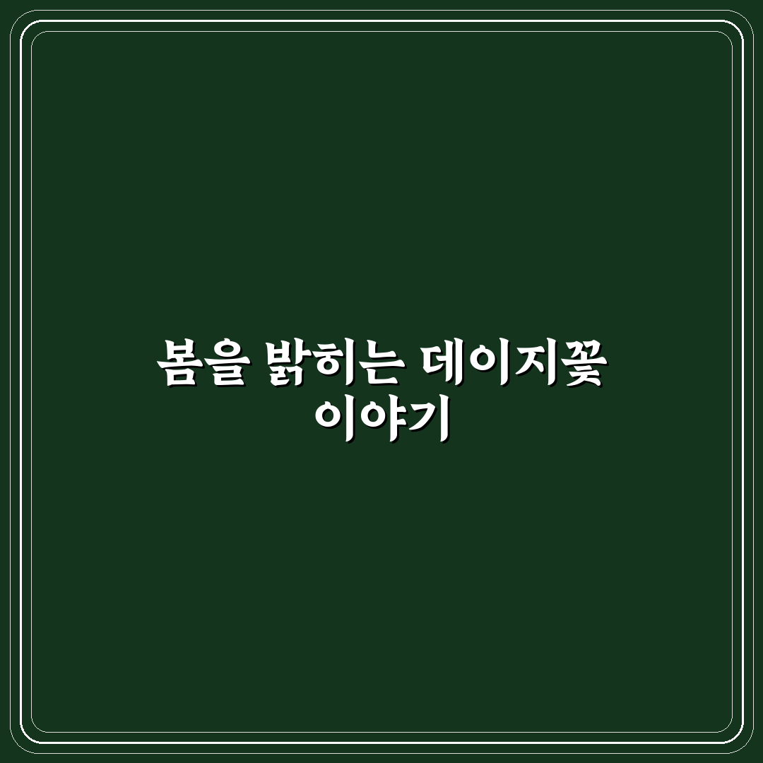 데이지꽃 명소 추천과 방문 꿀팁 알려드려요