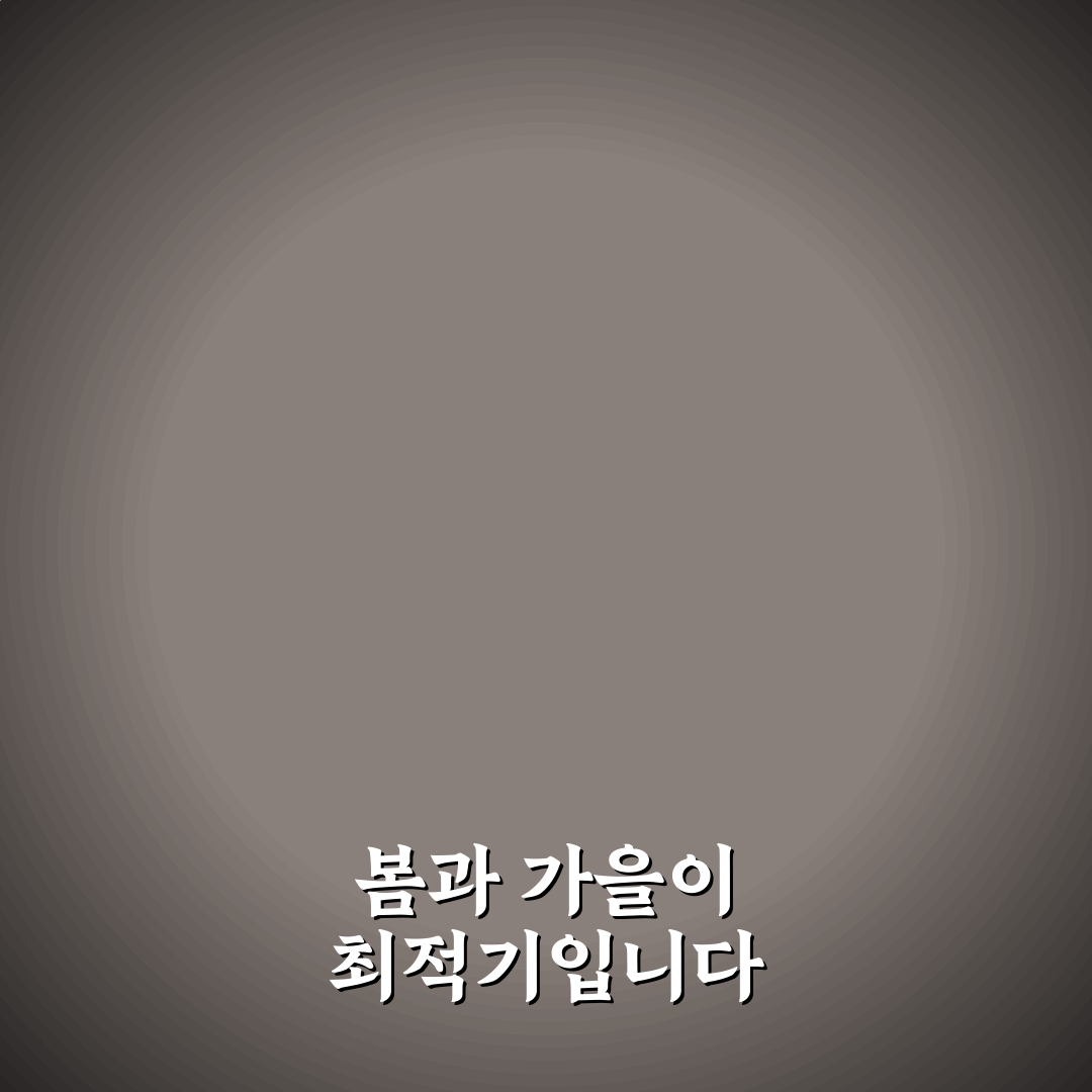 루꼴라 파종시기와 방법 꿀팁 쉽게 알려드려요