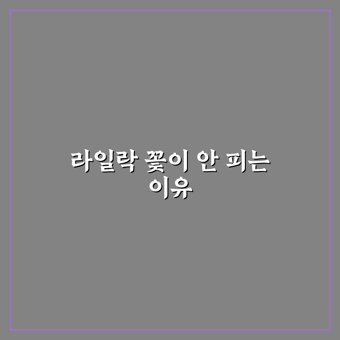 라일락 꽃이안피는이유와 해결 꿀팁 쉽게 알려드려요