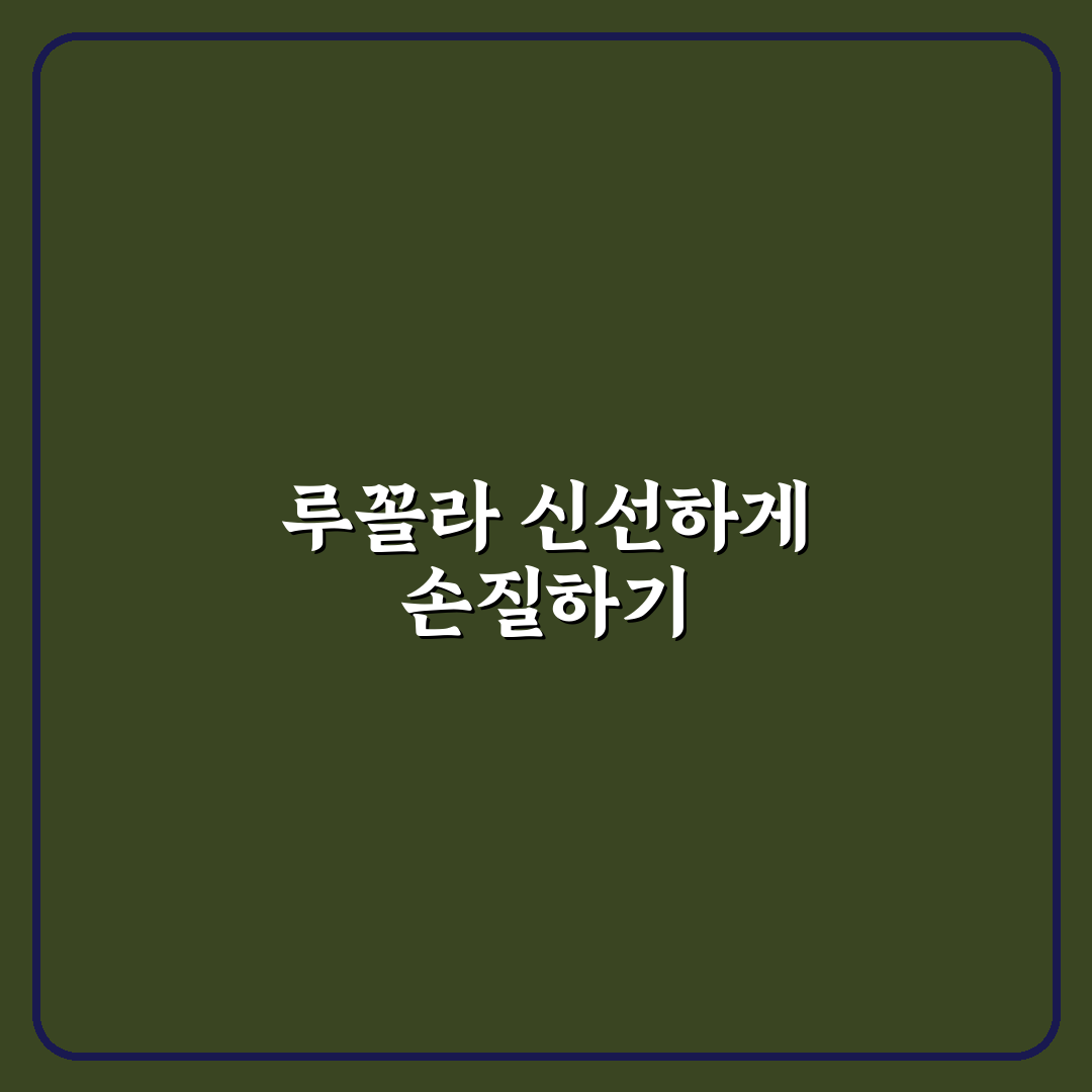 루꼴라 손질법 초보도 쉬운 꿀팁 정리