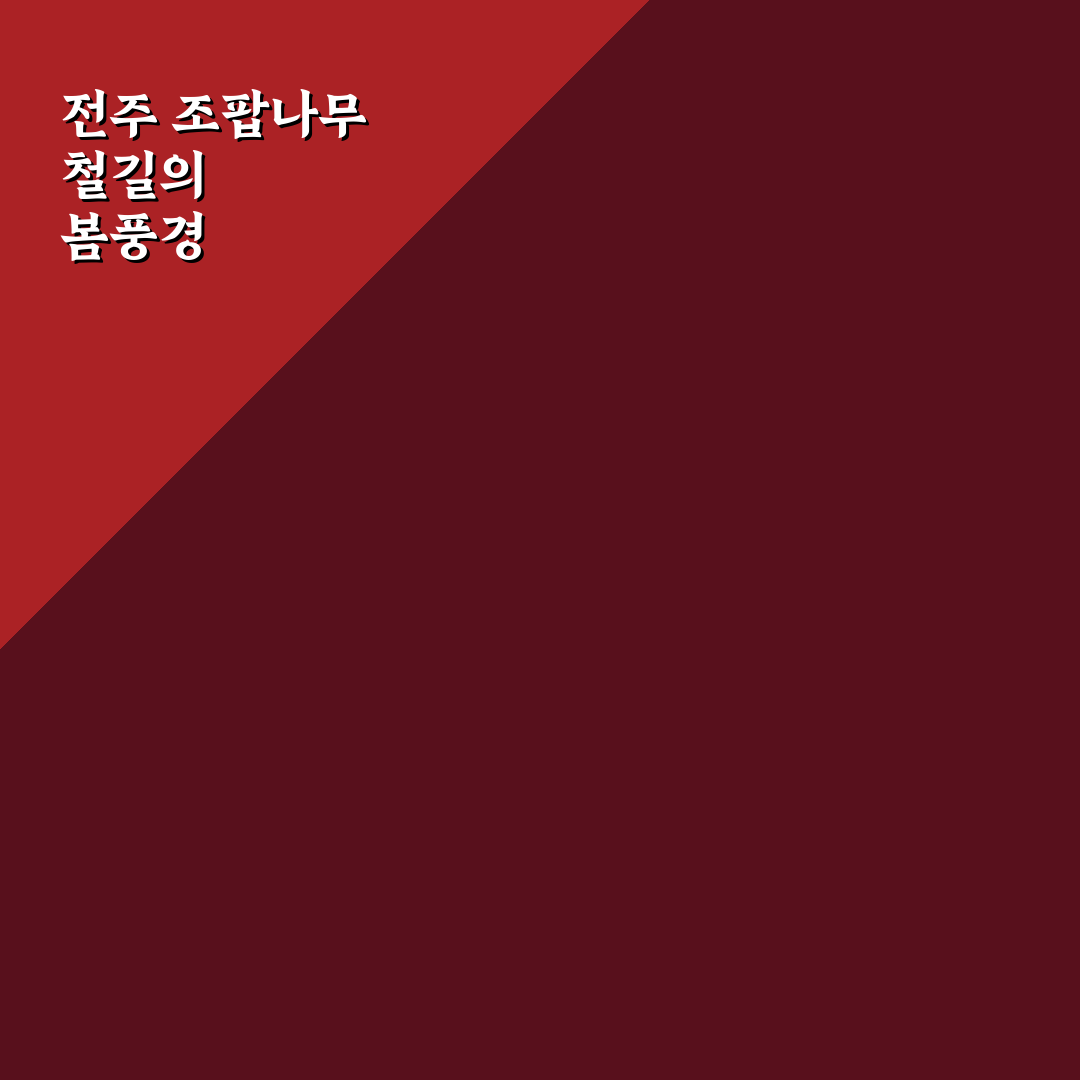 전주 조팝나무 철길 방문 꿀팁과 산책 코스 정리