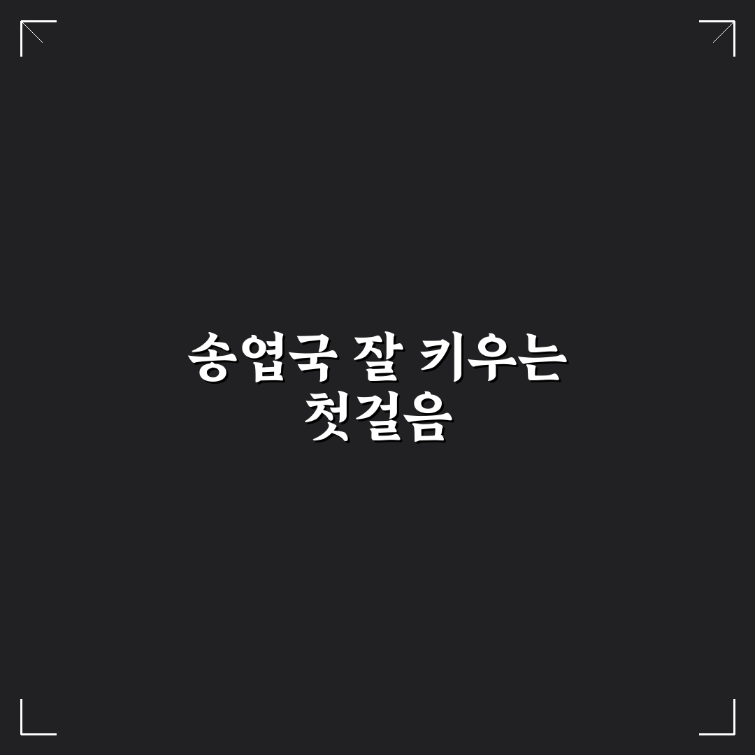 송엽국 키우기 꿀팁 초보자도 쉽게 따라하는 방법