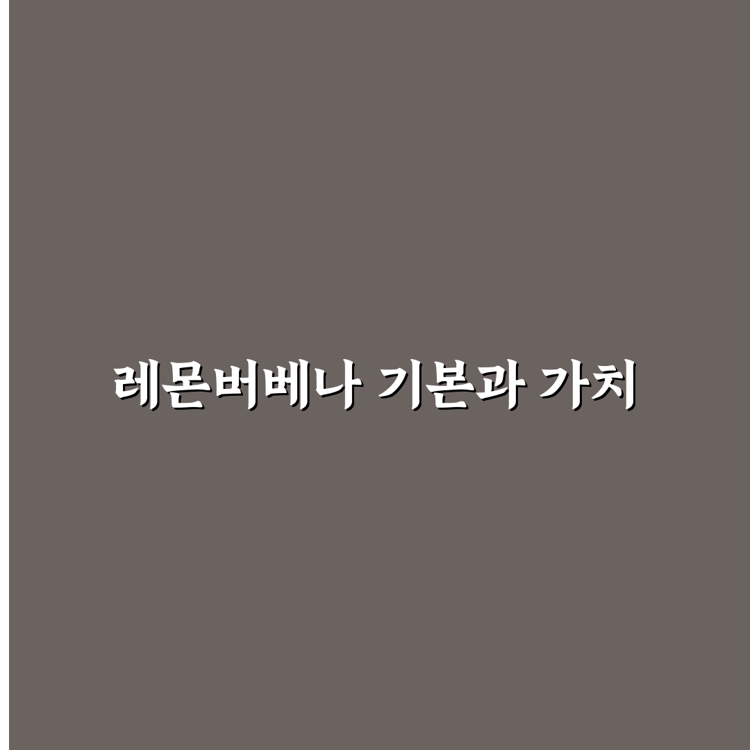 레몬버베나 모종 키우기 꿀팁과 관리 방법 정리