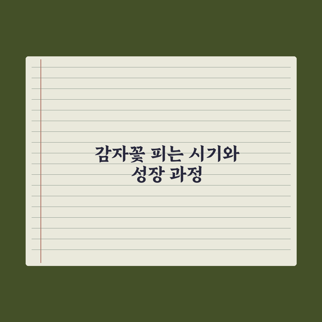 감자꽃 피는 시기와 특징 쉽게 알려드려요