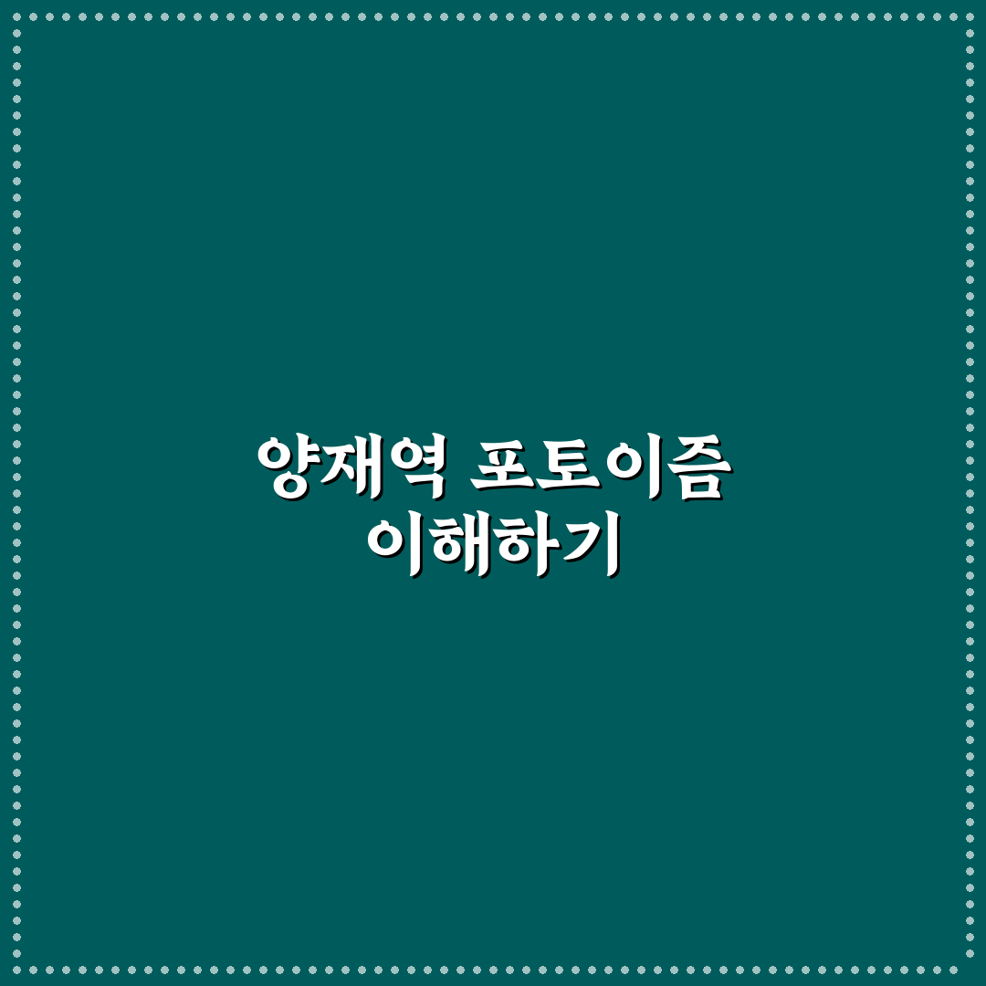 양재역 포토이즘 방문 전 알아두면 좋은 꿀팁 정리