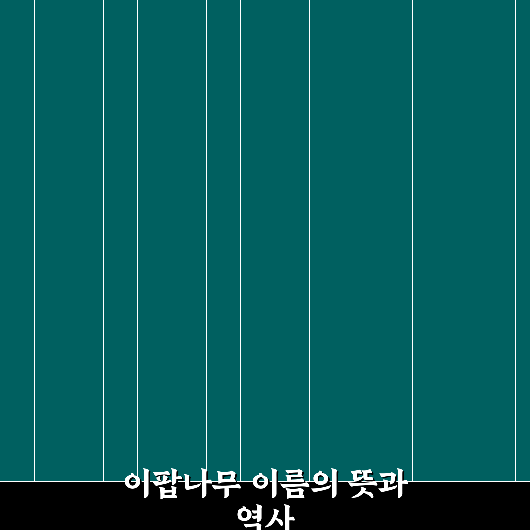 이팝나무 이름 유래와 뜻 쉽게 알려드려요