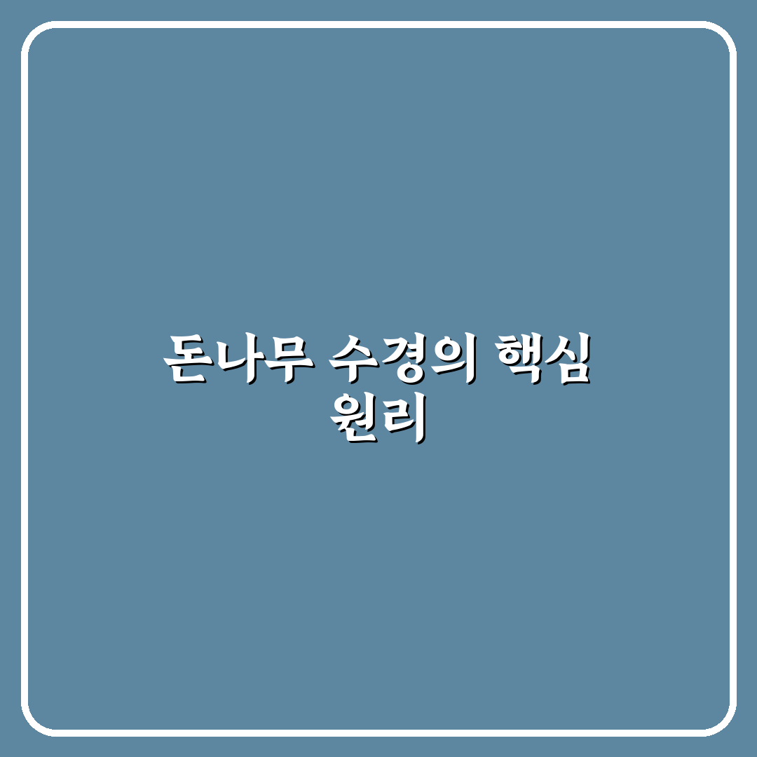 돈나무 수경재배 방법과 꿀팁 쉽게 알려드려요