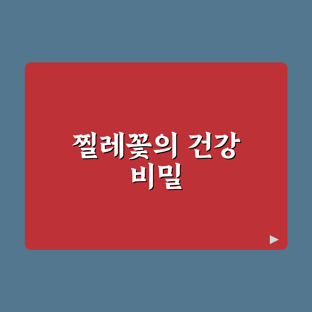 찔레꽃효능과 활용법 꿀팁 쉽게 알려드려요