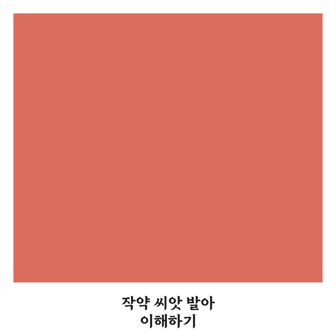 작약 씨 틔우는 방법과 꿀팁 쉽게 정리하기