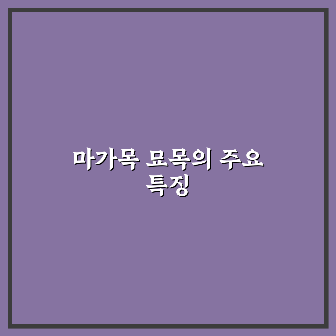 마가목 묘목 키우기 방법과 관리 꿀팁 알려드려요