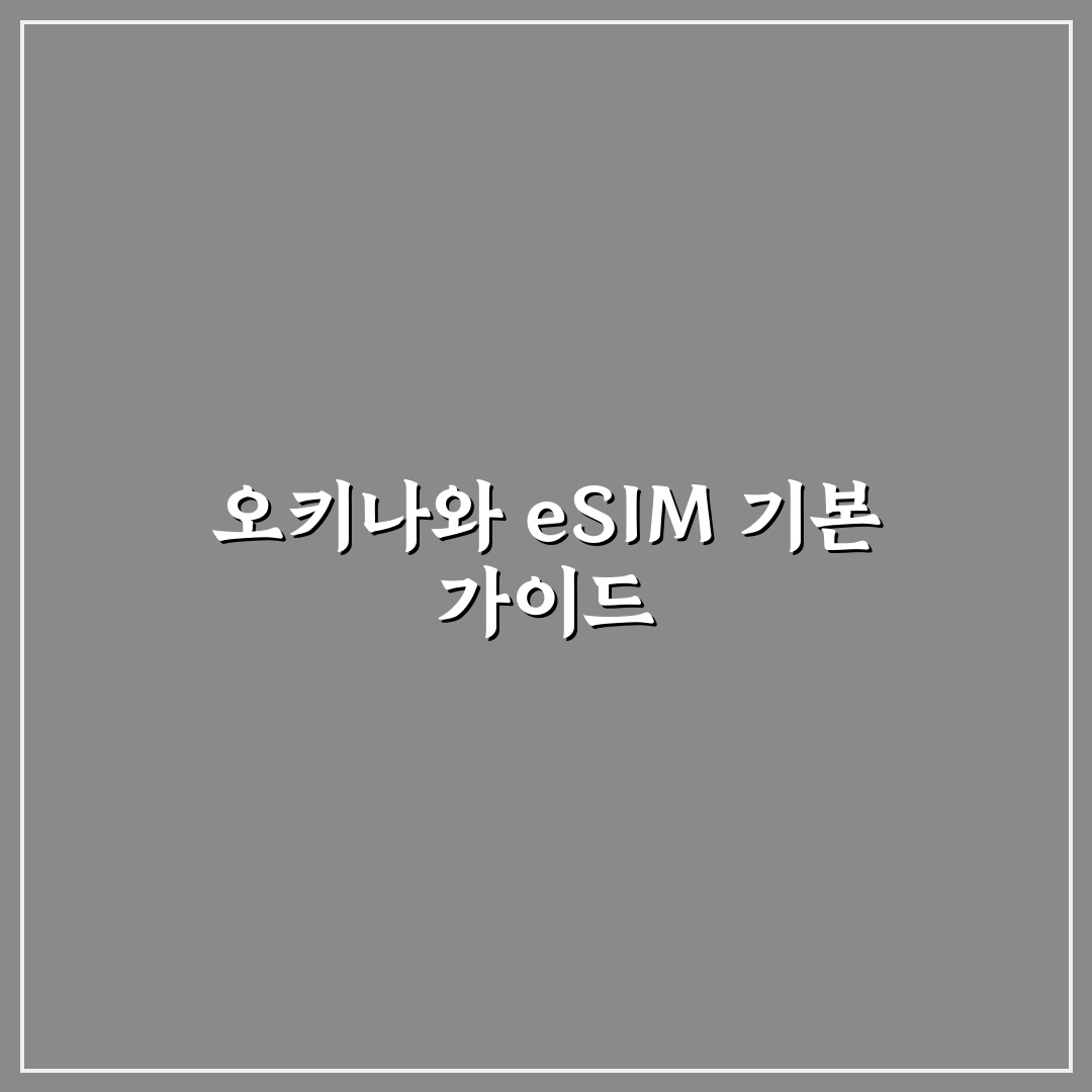 오키나와 esim 사용법과 꿀팁 쉽게 알려드려요