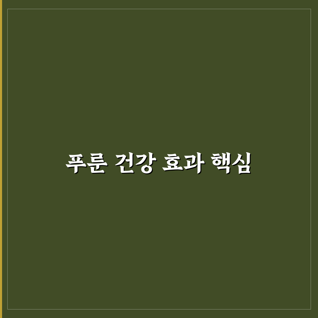 푸룬 건자두 효능과 활용 꿀팁 정리