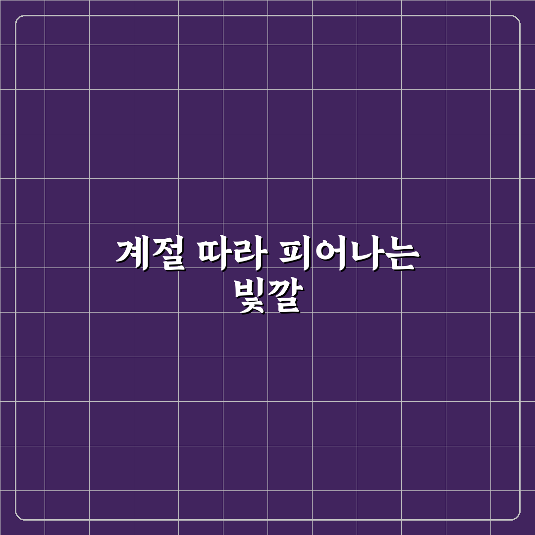 삼패공원 수레국화 방문 꿀팁과 풍경 정리