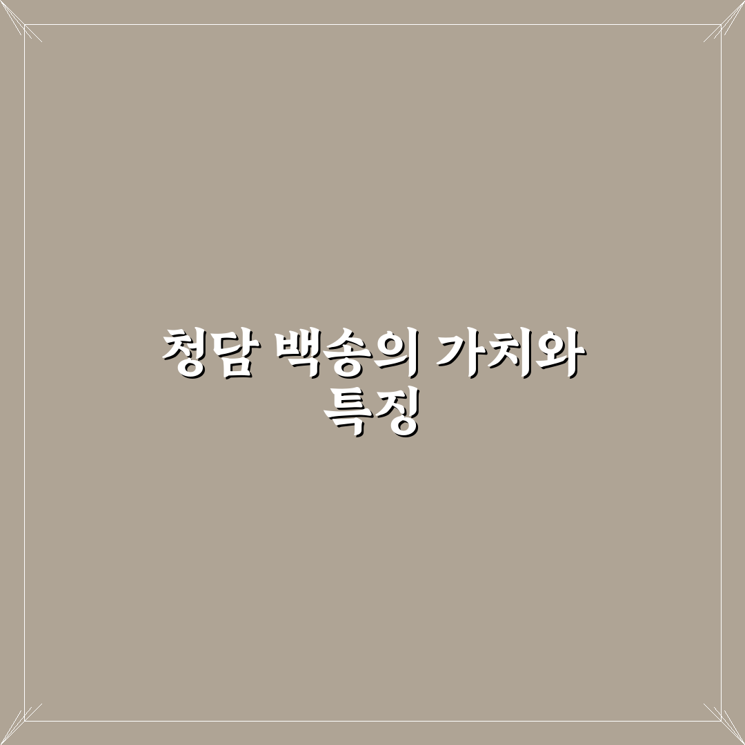 청담 백송 방문 전 알아두면 좋은 꿀팁 정리