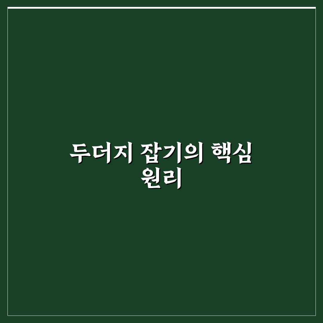두더지 잡는법 꿀팁 초보자도 쉽게 배우는 방법