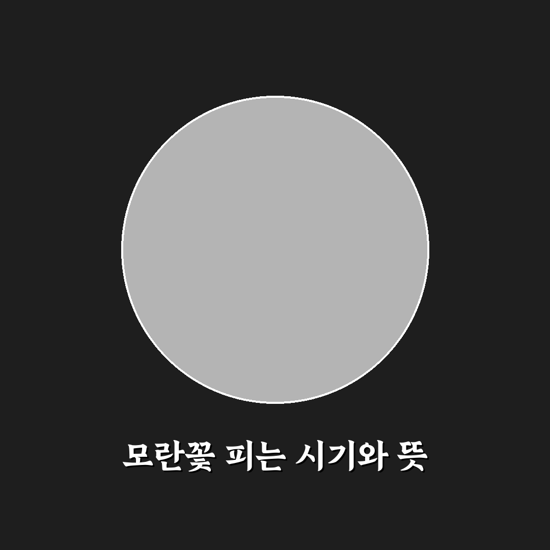모란꽃 피는 시기와 특징 쉽게 알려드려요