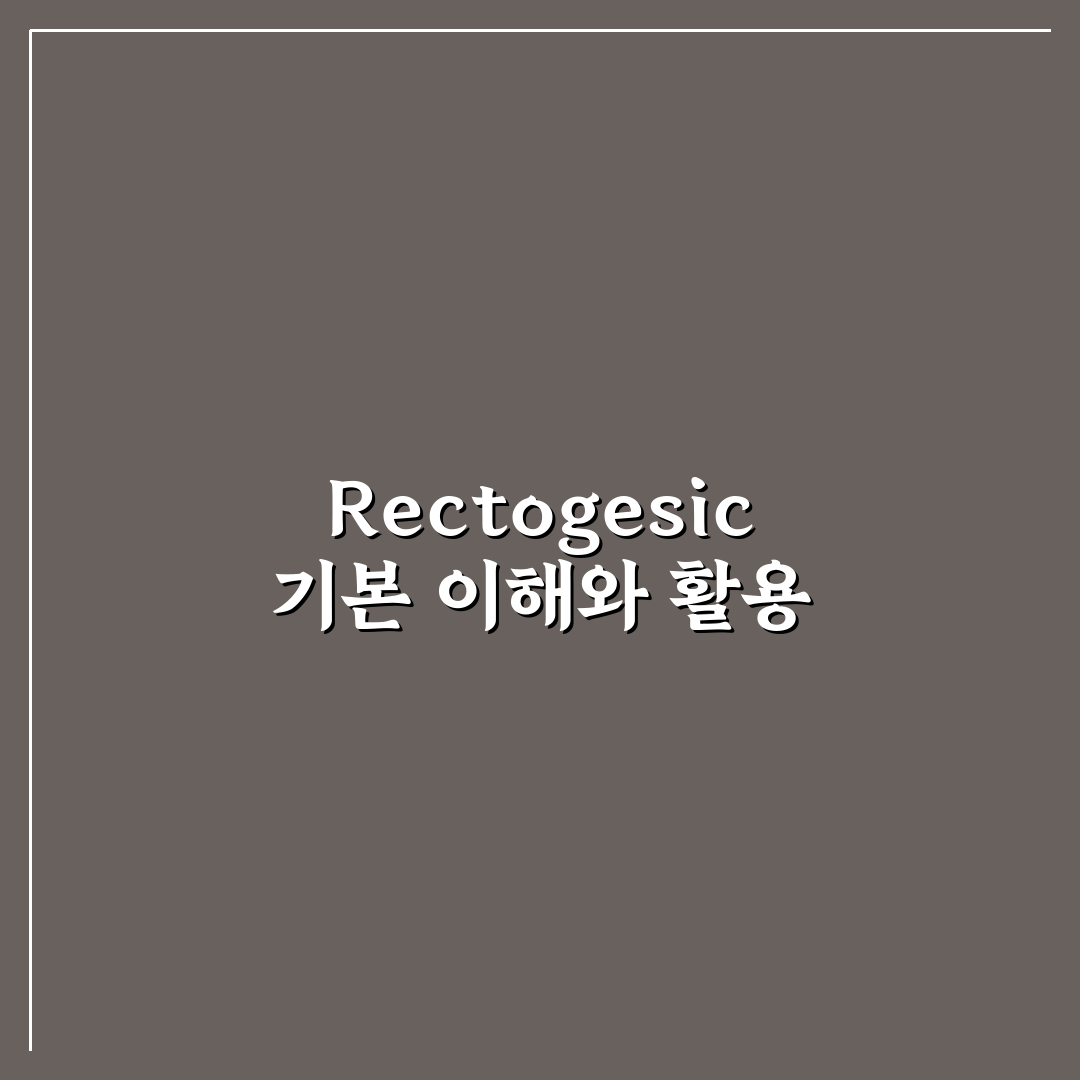 rectogesic 사용법과 효과 비교 5가지 기준 분석