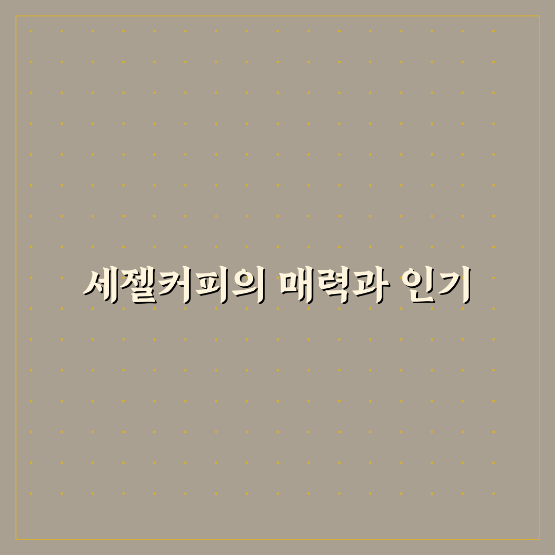 세젤커피 초보자를 위한 추천과 꿀팁 정리