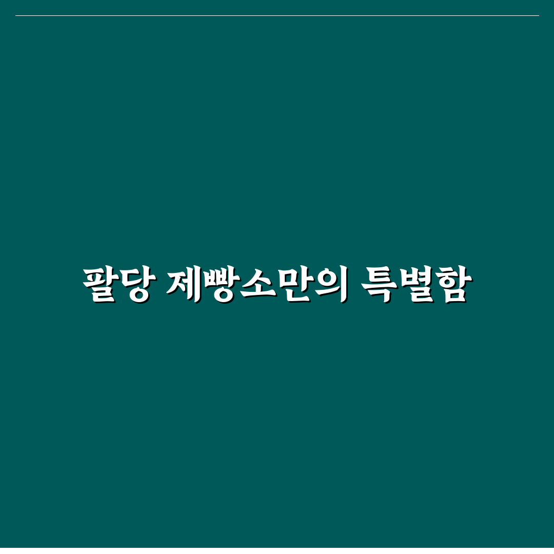팔당 제빵소 방문 전 알아두면 좋은 꿀팁 정리