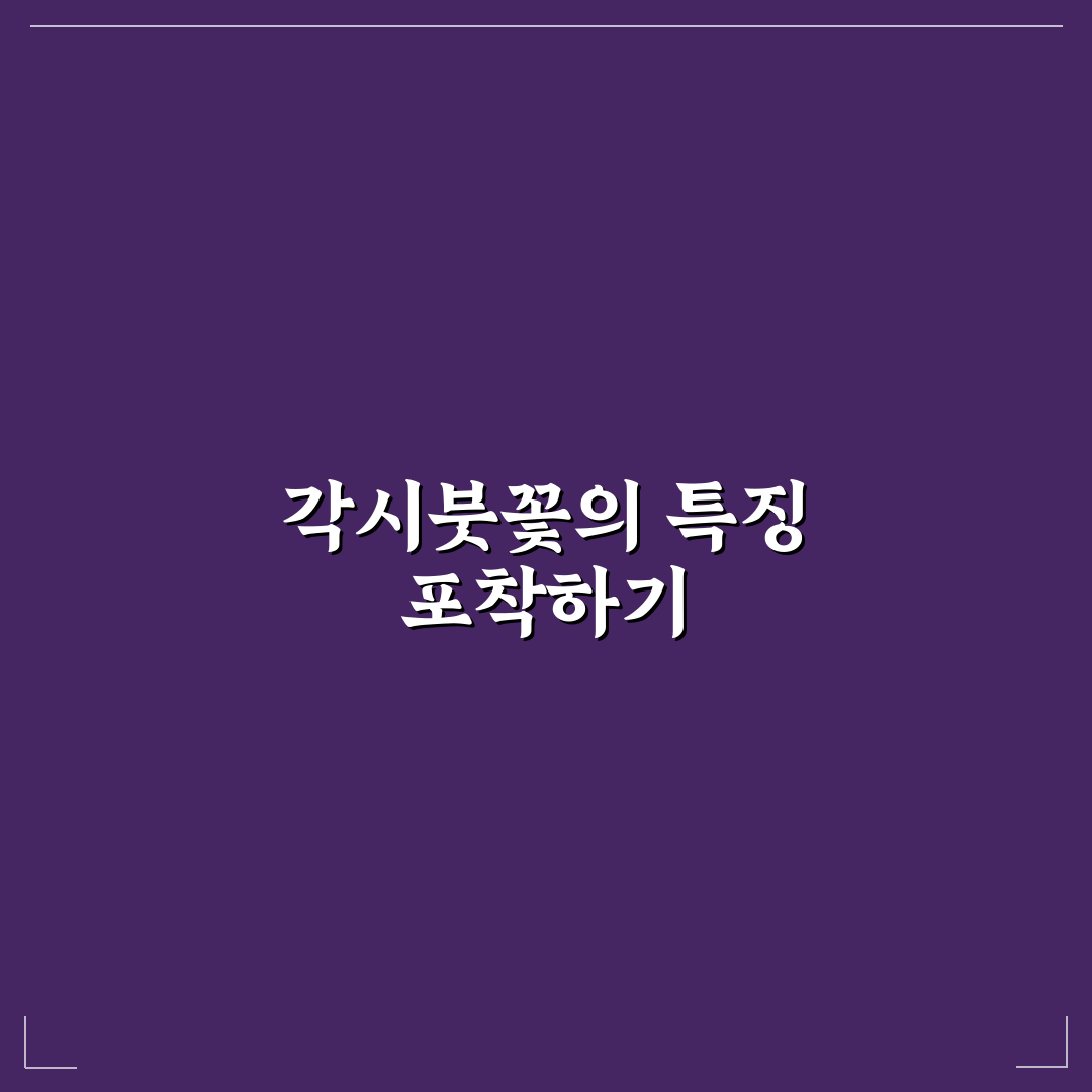 각시붓꽃 포토 촬영법과 구도 비교 가이드 총정리