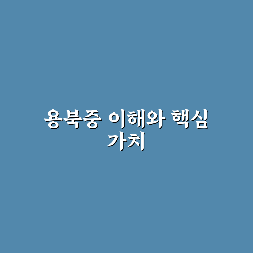 용북중 입학 준비 꿀팁과 학교 생활 정리