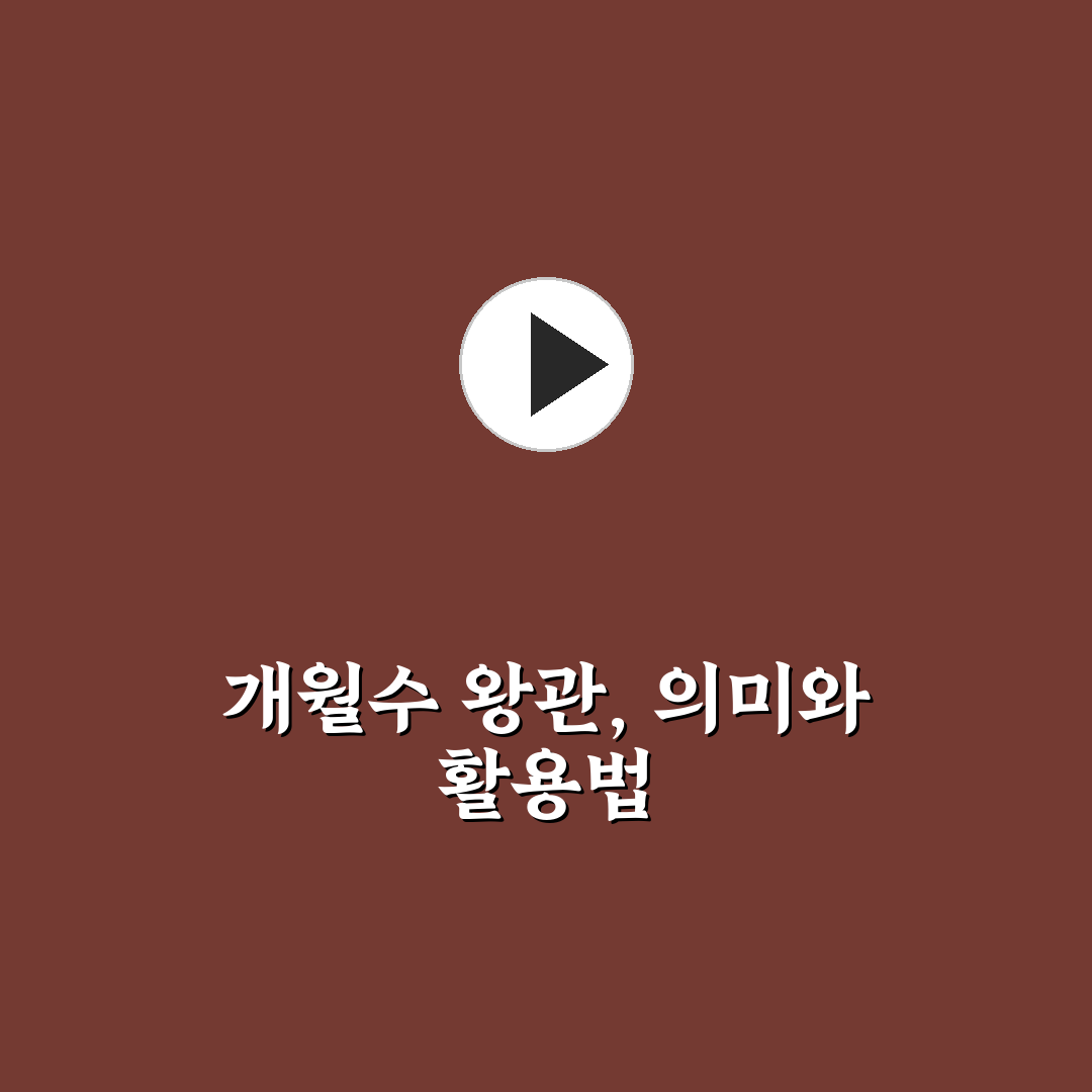 개월수 왕관 선택과 활용 꿀팁 쉽게 알려드려요
