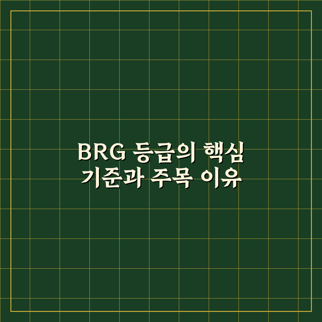 포켓몬카드 brg 등급 기준과 5가지 평가 체크포인트
