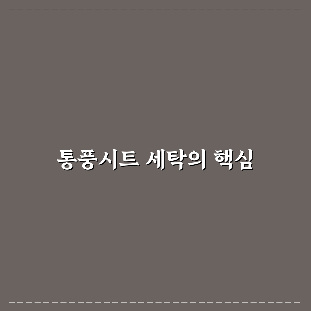 폴레드 통풍시트 세탁 꿀팁과 관리 방법 알려드려요