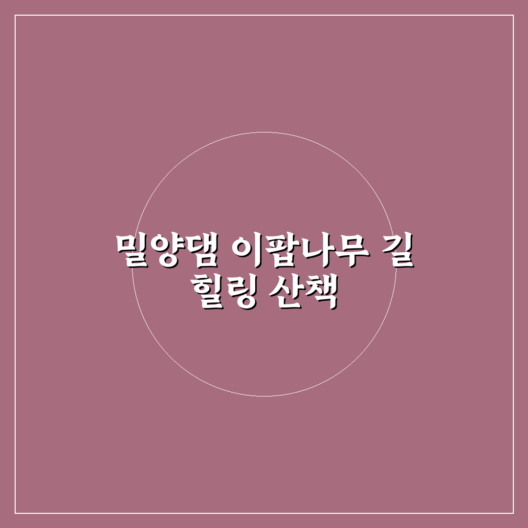 밀양댐 이팝나무 길 방문 전 체크포인트와 가이드 분석