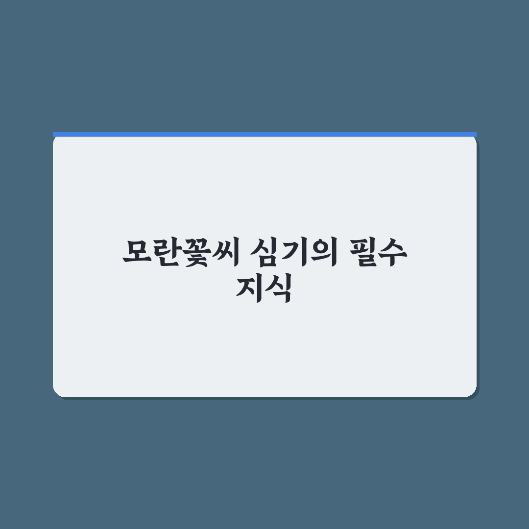 모란꽃씨심는방법 초보자를 위한 꿀팁 정리