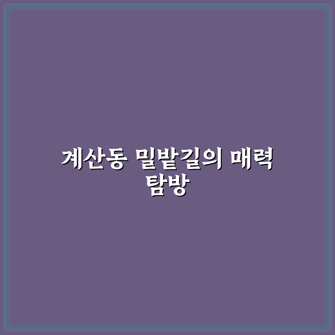 계산동 밀밭길 걷기 팁과 추천 코스 정리