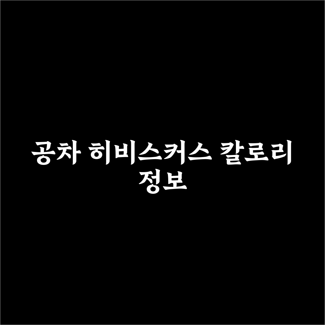 공차 히비스커스 칼로리와 건강관리 꿀팁 알려드려요