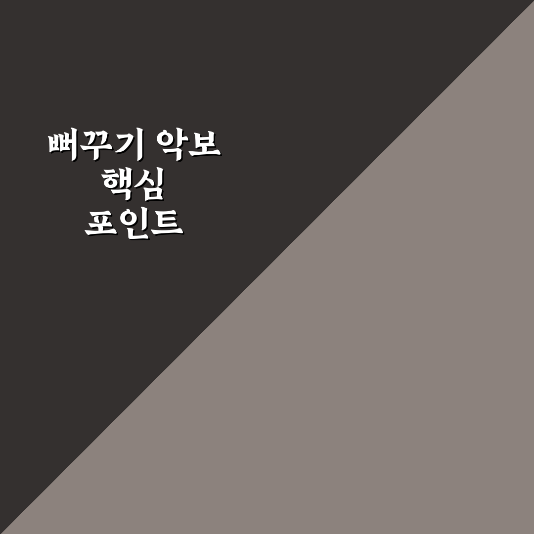 뻐꾸기 리코더 악보 선택 가이드와 비교 분석 5가지 기준