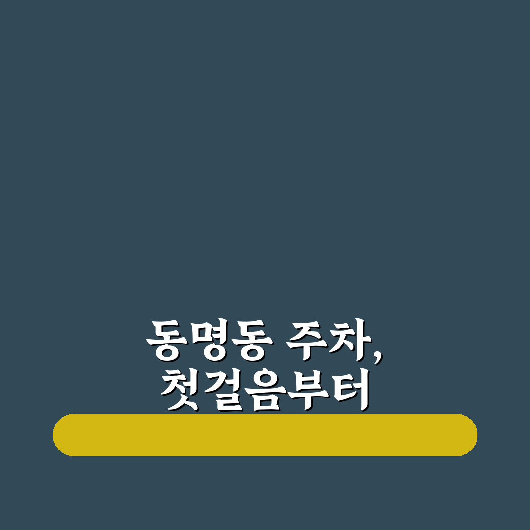 동명동 쎄쎄쎄 주차 공간 비교와 이용 가이드 총정리
