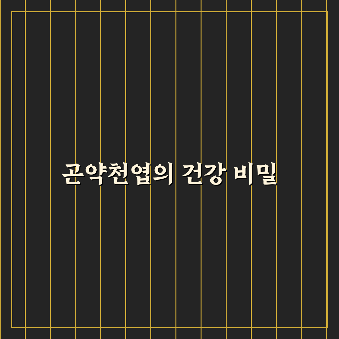 곤약천엽 비교와 분석으로 본 효과와 활용 가이드
