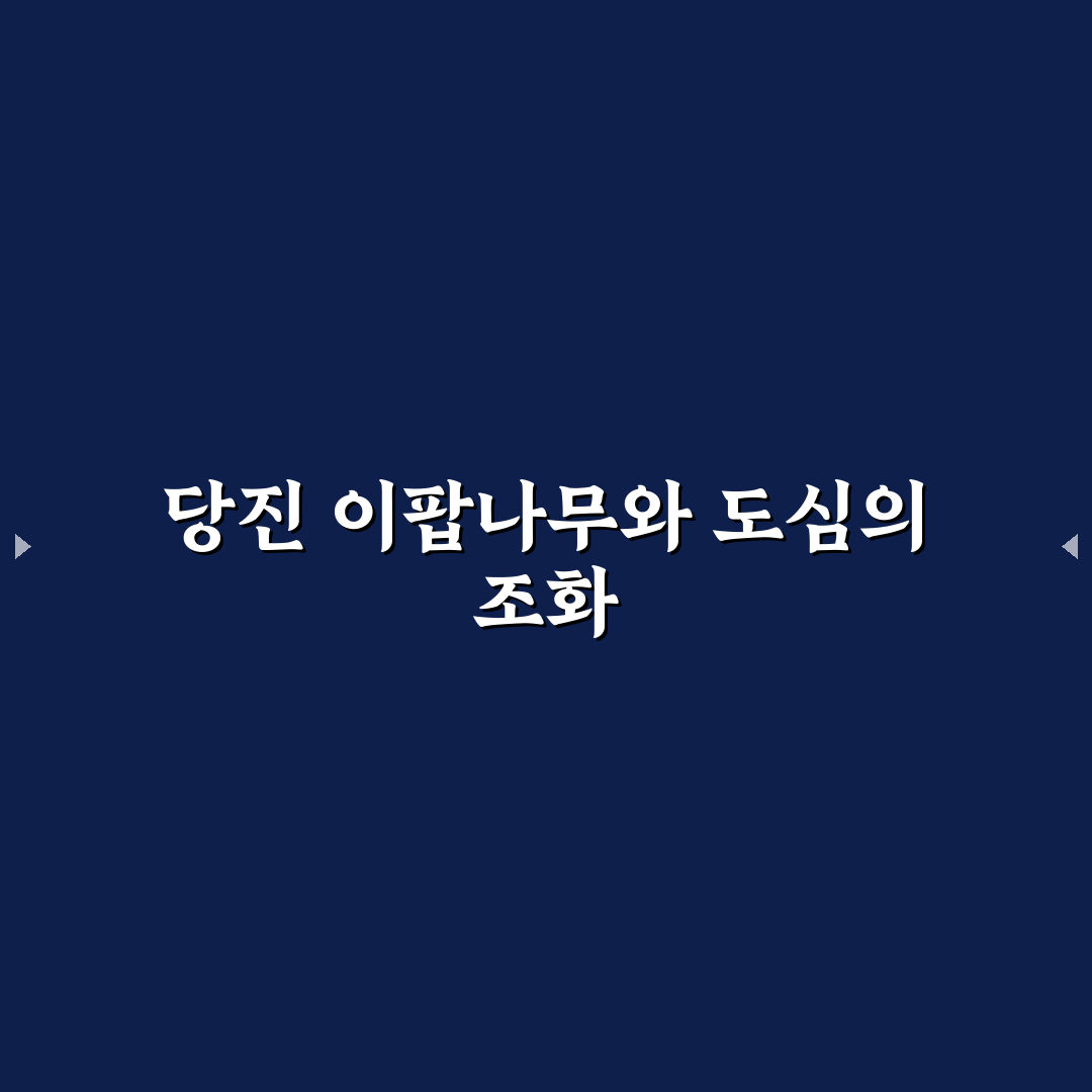 당진 이팝나무 걷기 코스별 특징 비교와 선택 가이드