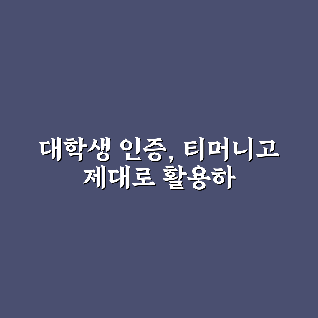 티머니고 대학생 인증 절차와 혜택 비교 분석 가이드